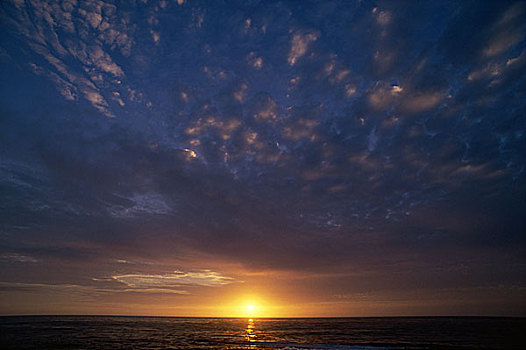 日落,上方,海洋,加利福尼亚,美国