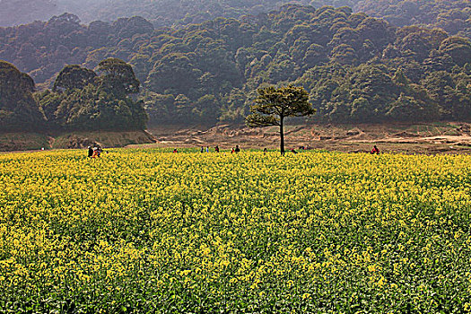 石门森林公园