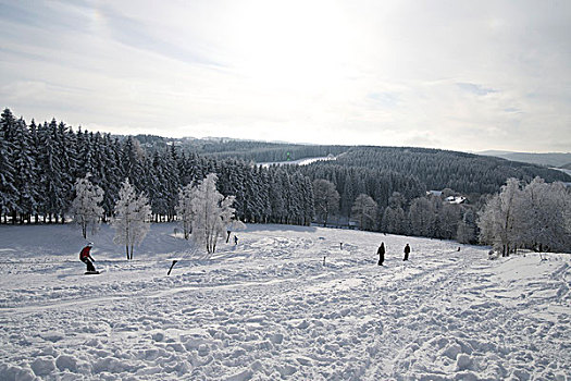 斜坡,滑雪,滑雪板,雪,克劳斯塔尔-泽拉费特,哈尔茨山,下萨克森,德国,欧洲