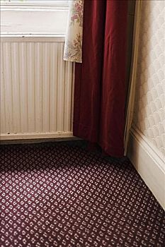 地毯,帘,房间