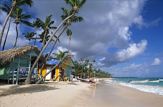 小屋,棕榈海滩,干盐湖,靠近,蓬塔卡纳,多米尼加共和国,加勒比海