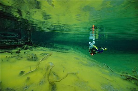 水下,潜水者,晶莹,清晰,绿藻,湖,提洛尔,奥地利,欧洲