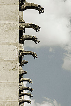 滴水兽,巴黎圣母院