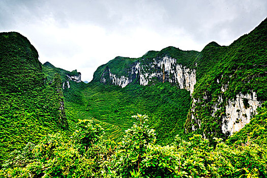 广西巴马号龙天坑