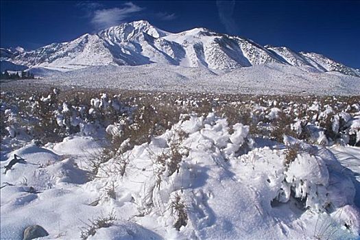 山,内华达山脉,加利福尼亚,美国