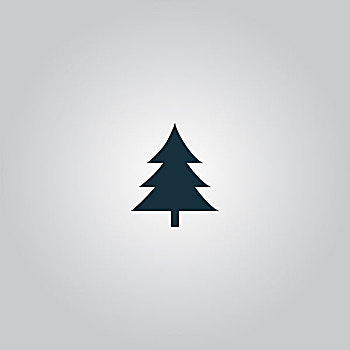 云杉,圣诞树,象征