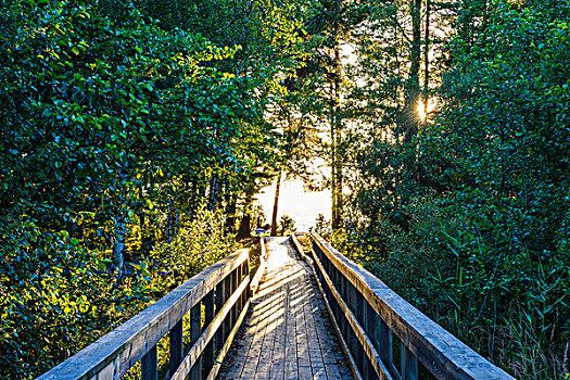 木质,步行桥