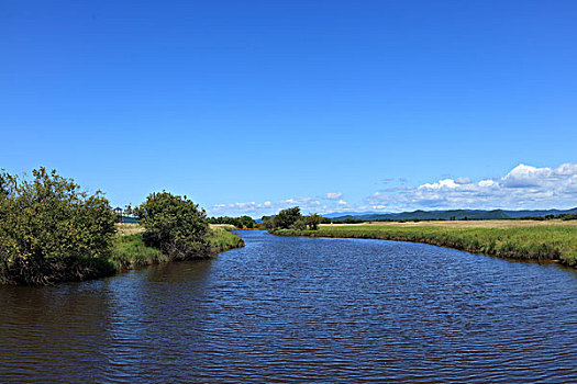 东方红湿地