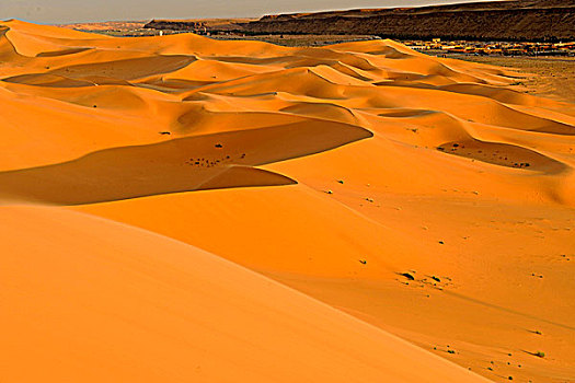 阿尔及利亚,撒哈拉沙漠,沙丘