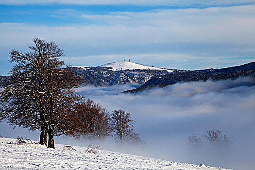 冬季风景,山,氛围,黑森林,巴登符腾堡,德国,欧洲