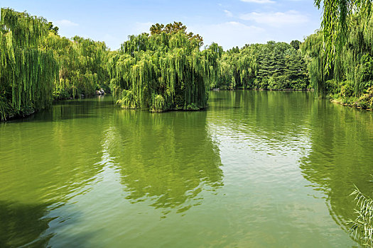 中国山东省济南市大明湖湖景风光