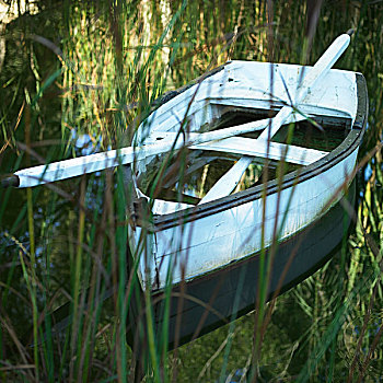 船,桨,湖,隐藏,后面,高草