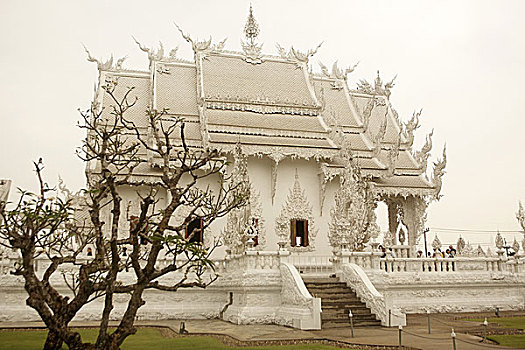 亚洲,东南亚,泰国,清莱,寺院,树,白色,庙宇