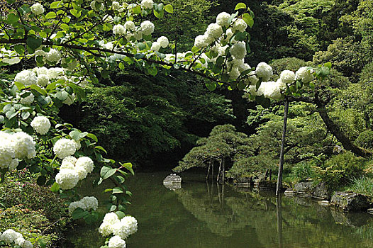 日本森林公园风景区