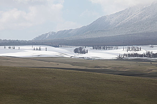 雪后天山美如画