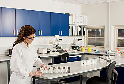 女性,科学家,工作,实验室