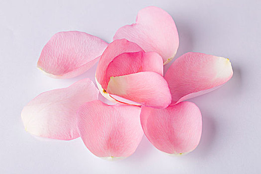 粉色的花瓣