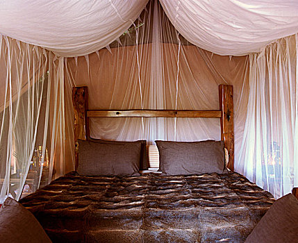 乡村,床,毛皮,遮盖,蚊子,网,一个,卧室,帐篷