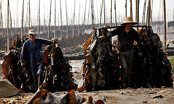 渔民正在晾晒海产品
