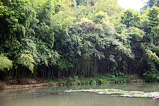 竹林绿地路桥