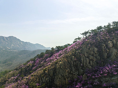 山东省青岛大珠山景区航拍图片