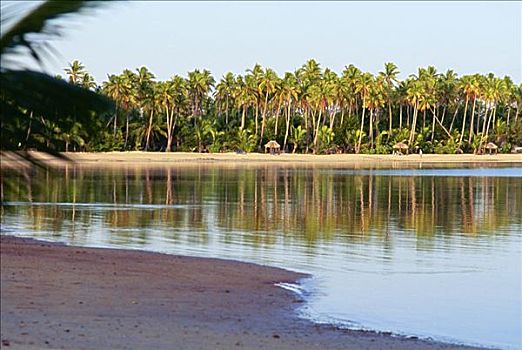 斐济,平静,泻湖,围绕,棕榈树