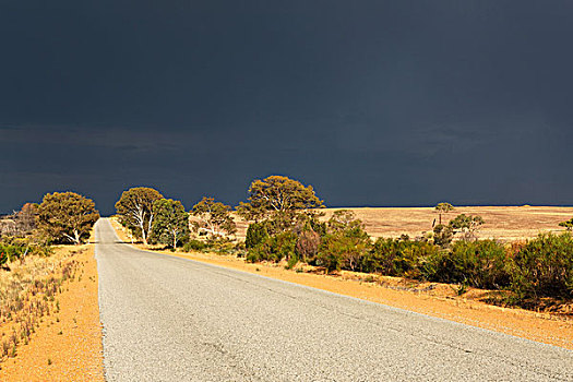 道路,接近,风暴,上方,偏远地区,风景,西澳大利亚州,澳大利亚