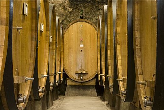 葡萄酒桶,酒窖,托斯卡纳,意大利
