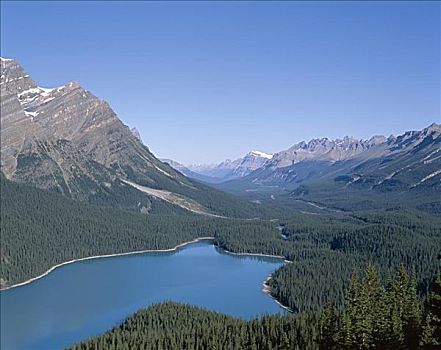 佩多湖,班芙国家公园,班芙,落基山脉,艾伯塔省,加拿大