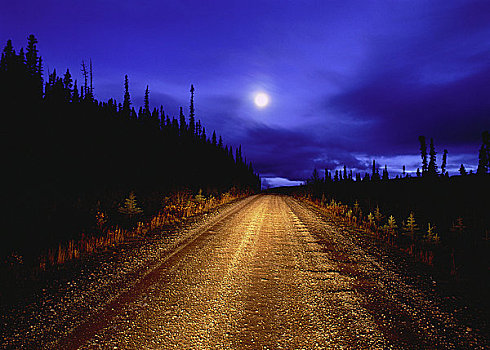 满月,道路,靠近,艾伯塔省,加拿大