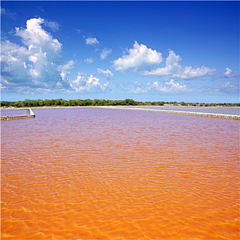 福门特拉岛,盐厂,红色,水