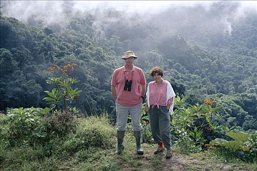 分开,蒙特维多云雾森林自然保护区,哥斯达黎加