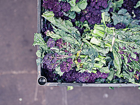 紫色,花椰菜,盒子,街边市场