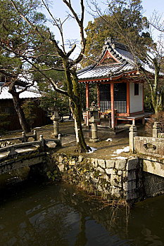 日本,京都,清水寺,冬天,小,庙宇,石桥