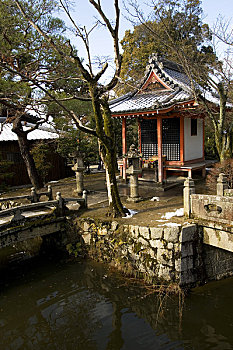 日本,京都,清水寺,冬天,小,廟宇,石橋