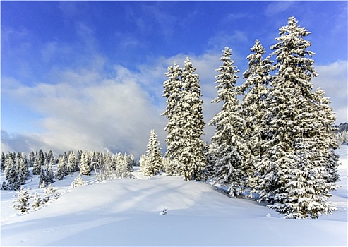 朱拉,山,冬天,瑞士