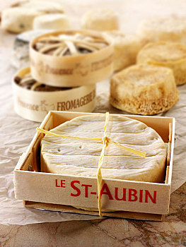 山羊奶酪,传统,法国,地区性,奶酪