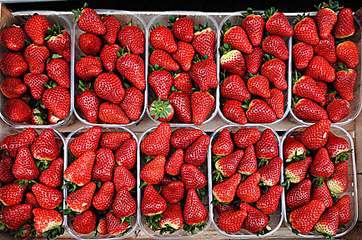 新鲜,草莓,塑料制品,碗,水果,站立