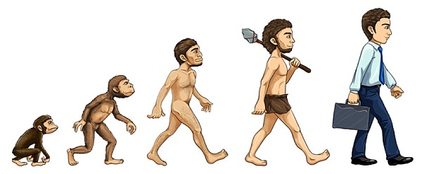 演化,男人