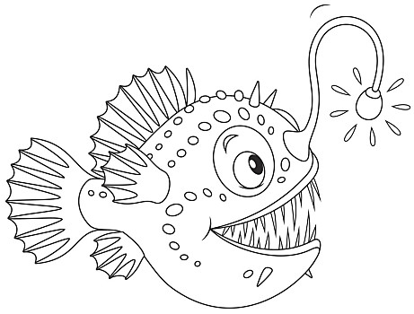 纸华美,海葵,葵鱼,红海水母,群,蓝色,水下,特写水母水族馆,鱼蓝色,鱼