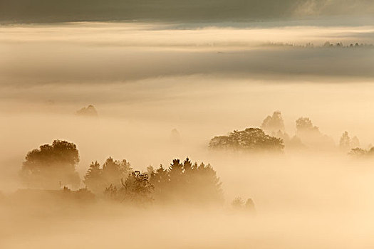 晨雾,上方,洛伊萨赫河,荒野,陆地,区域,上巴伐利亚,巴伐利亚,德国,欧洲