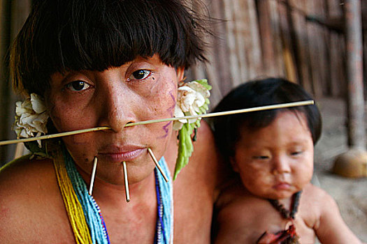 家庭,部落,土著,美洲,南美,生活方式,亚马逊雨林,边界,人口,文化