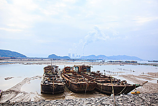 奉化,莼湖,海涂,房子