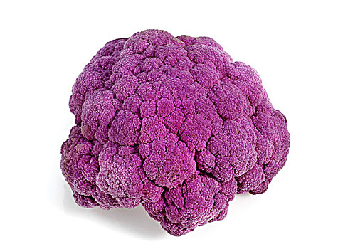 紫色,花椰菜,白色背景
