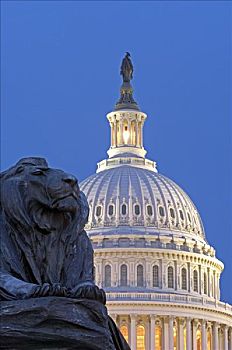 狮子,雕塑,国会山,华盛顿特区,美国