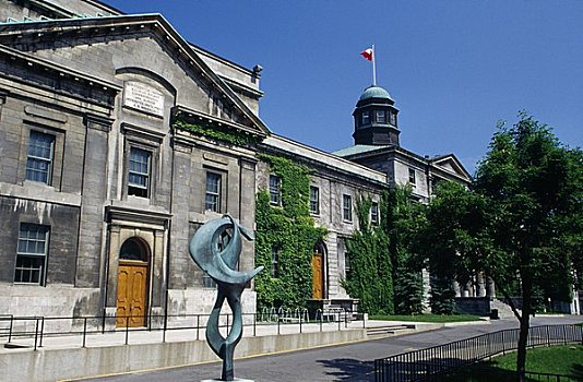 建筑,大学,蒙特利尔,魁北克,加拿大