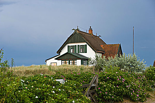 房子,自然保护区,半岛,石荷州,德国,欧洲