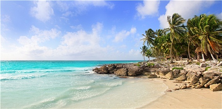 加勒比,墨西哥,热带,全景,海滩
