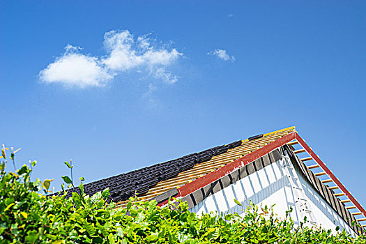 屋顶,修葺,黑色,砖瓦,夏天