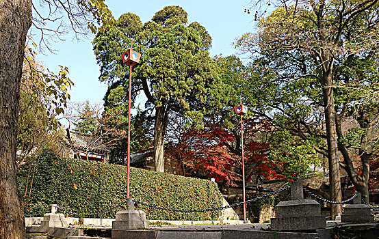 崂山太清宫